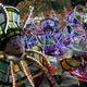 Illustration for article titled The 7 Geekiest Moments of the 2015 Rio Carnival